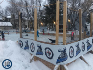 Moose backyard rink 2