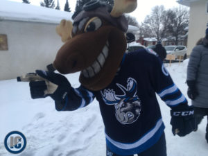 Moose backyard rink 3